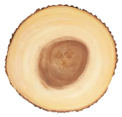 Produktbild von Holz Käseplatte aus Baumstamm zum Servieren