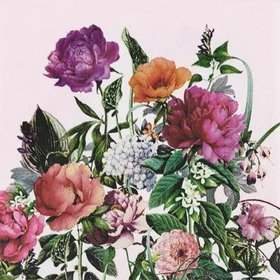 Produktbild von 20 Servietten Bloom - Blühende Eleganz 33x33cm