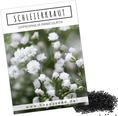 Produktbild von Schleierkraut Samen mehrjährig & winterhart (Gypsophilia paniculata) - Herrlich duftendes Blütenmeer & perfekt in Kombination mit Blumensträußen