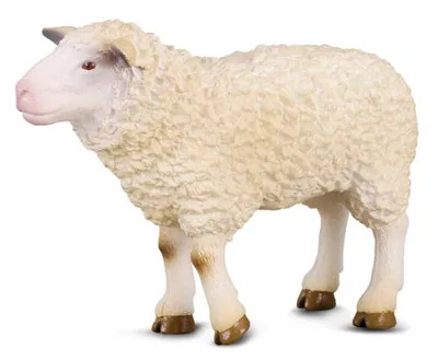 Image de Mouton de collection