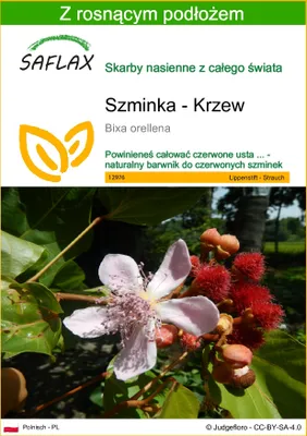 Zdjęcie produktu dla SAFLAX - Szminka - Krzew - 20 Nasiona - Z podłożem uprawowym wolnym od zarazków - Bixa orellena
