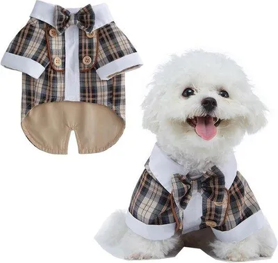 Obrázok produktu pre Čierne šaty pre malého psa, slávnostný psí outfit, darček pre malých psíkov k narodeninám.