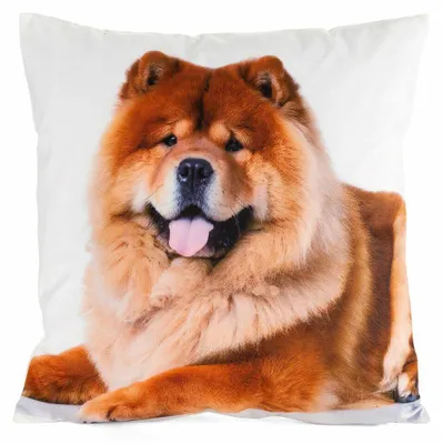 Obrázek produktu pro Eurofirany 464114, Vícebarevný, Polyester, Vzorovaný, 200 g/m², 45 x 45 cm