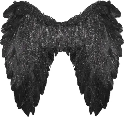 Produktbild von Federflügel Engel schwarz
