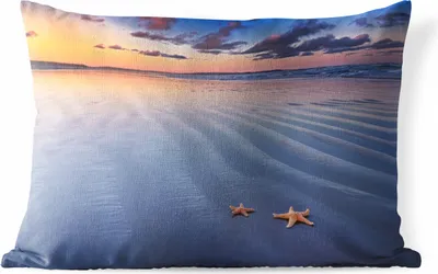 Produktbild von MuchoWow® Outdoor Kissen - Seestern - Wasser - Wolke - 60x40 cm - Wetterfest - Lounge Kissen - Zierkissen - Kissen für Innenräume
