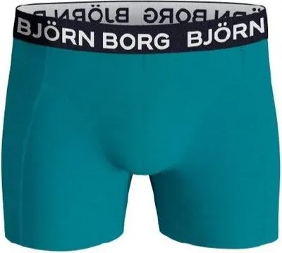 Productafbeelding van Björn Borg - Heren - Boxershorts van katoen-elastaan, 1-pack - Blauw - Maat L
