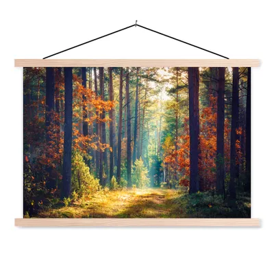 Produktbild von MuchoWow® Textilposter Wald - Sonne - Natur - Herbst 60x40 cm mit holzfarbenen Rahmen - Bilder
