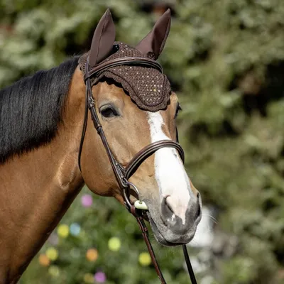 Produktbild von USG Fliegenhaube Glamorous, weiß, Warmblut