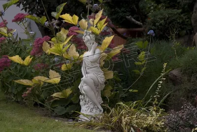 Produktbild von Eva Skulptur Design Figur Statue Garten Figuren Statuen Skulpturen Neu S101055