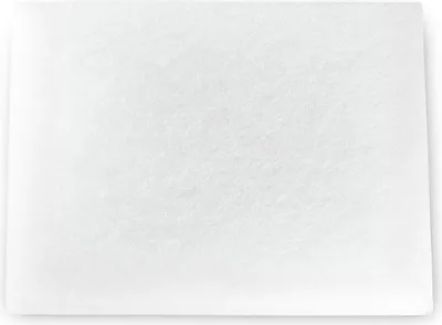 Zdjęcie produktu dla Kärcher Filter Motorschutz 6.414-022.0