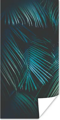 Produktbild von MuchoWow® Poster Palme - Palmenbaum - Tropisch 20x40 cm - Plakat - Foto