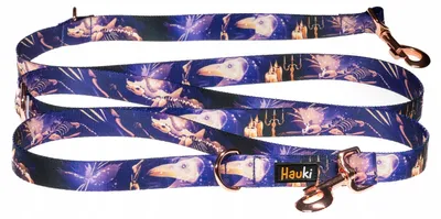 Produktbild von Hauki Zmierch Verstellbare Multifunktionsleine für Hunde