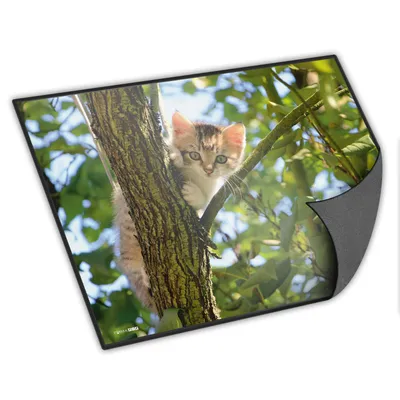 Produktbild von itenga Schreibunterlage Katze 400 x 530 mm