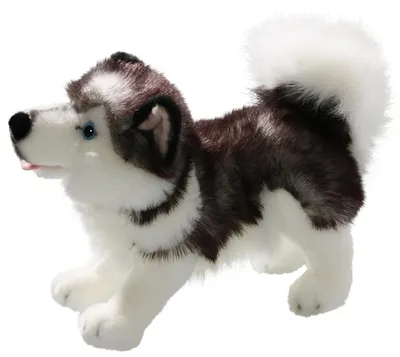 Zdjęcie produktu dla Carl Dick Husky stojący ok. 30 cm długości, ok. 25 cm wysokości 3224 Przytulanka, miękka zabawka, przytulanka