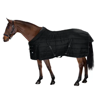 Produktbild von Eskadron Stalldecke 100g Sigma Stable Basics Black L