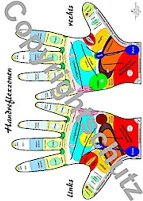 Produktbild von Handreflexzonenübersicht