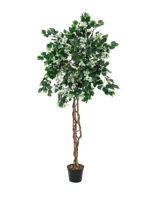Immagine prodotto di EUROPALMS Bougainvillea, pianta artificiale, bianca, 150 cm (82507085)