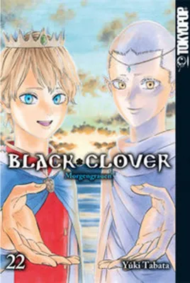 Produktbild von Black Clover 22