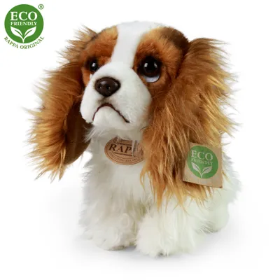 Zdjęcie produktu dla RAPPA Plyšový pes king charles španěl 25 cm ECO-FRIENDLY