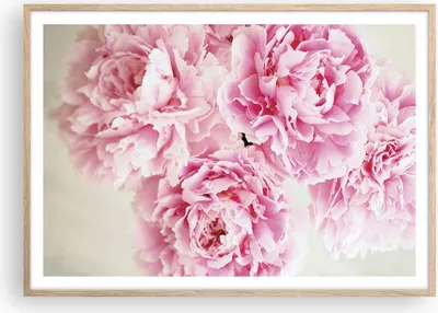 Produktbild von Gerahmtes Poster - Rahmen in heller Eiche - Pfingstrosen Blumenstrauß Blumen - 100x70 cm - Wand Bild - Wanddeko - Wandbilder - Kunstposter - Wandposter - Bilderrahmen - Bilder - P2NAA100x70-4961