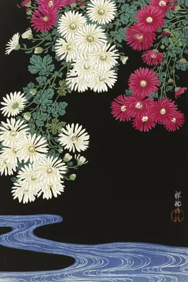 Zdjęcie produktu dla Plakat 40x60cm Chrysanthemums, Koson Japoński Vintage do Salonu