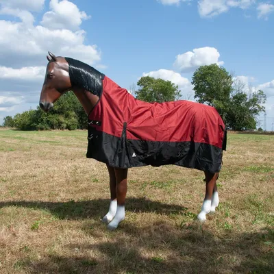 Produktbild von Winterdecke Dakota 600D - 100g/200g Größe (Pferdedecke) - 135 cm Farbe - Red / Black 100gr