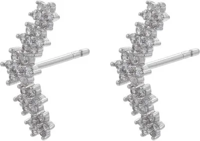 Image de Boucles d'oreilles FI-21706 en Argenté et Cristal KP21706
