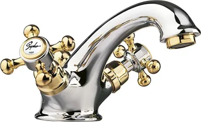 A close-up studio shot of a chrome and gold faucet.