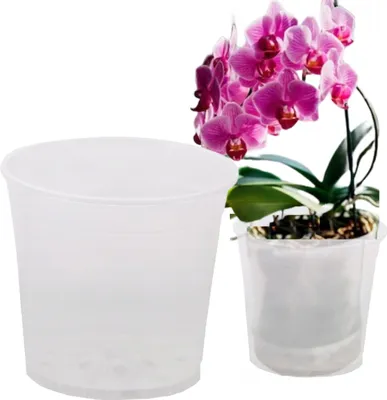 A clear plastic orchid pot is shown next to a potted orchid plant with pink flowers.