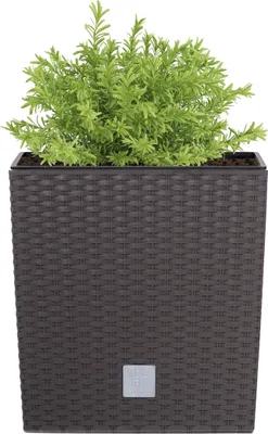 Produktbild von RATO LOW DRTS170L Blumentopf - Umbra