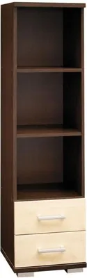 Produktbild von Regal Trelew 21, Farbe: Wenge / Ahorn - 156 x 40 x 41 cm (H x B x T)