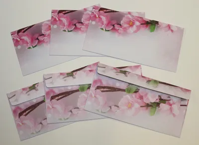 Produktbild von Briefumschläge haftklebend (Kirschblüten-5187, DIN lang, 25 Stück) wunderschöne weiße und rosafarbene Blüten