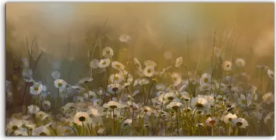 Produktbild von Coloray Canvas 100x50  Wandbild Leinwand Bilder Deko Blumig Gänseblümchen Blume Wiesen