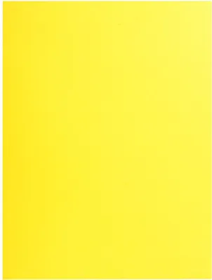 Immagine prodotto di Exacompta Confezione da 25 cartelline A4 Soleil a 2 scomparti in cartoncino Manila