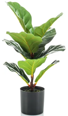 Produktbild von Smaragd Kunstpflanze - ficus lyrata - im Topf - 55 cm