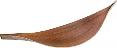 Produktbild von Kokosblatt Medium in Natur, im Set mit 5 Stück, Länge ca. 15-40cm, Breite ca. 5-8cm