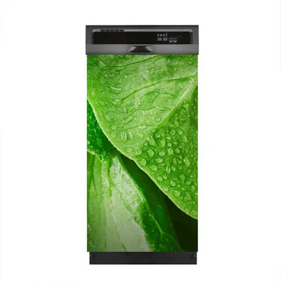 Produktbild von Aufkleber sticker 45x80 cm Dekorative folie Spülmaschine - Salat Blätter