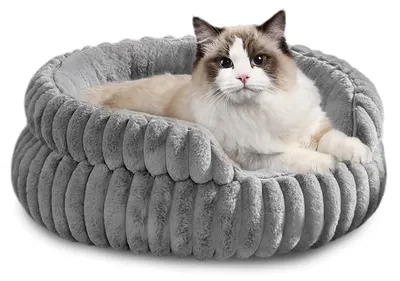 Produktbild von Hundebett, waschbar – orthopädisch – rutschfest – weiche Mikrofaserfleece – erhöhter Rand – 60 x 60 x 15 cm – Tierbett