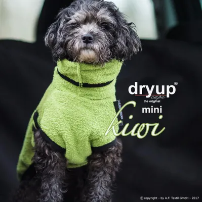 Produktbild von Dryup Cape Mini kiwi 45 cm