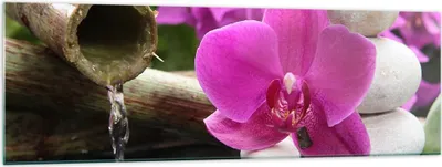 Produktbild von Bilder auf glas - Orchidee Bambus Dekoration Spa - 160x50cm - Glasbilder - Wandbilder - Kunstdruck - zum Aufhängen bereit - Wanddekoration aus Glas - Glas Bilder - Wandbild auf Glas - GAB160x50-2666
