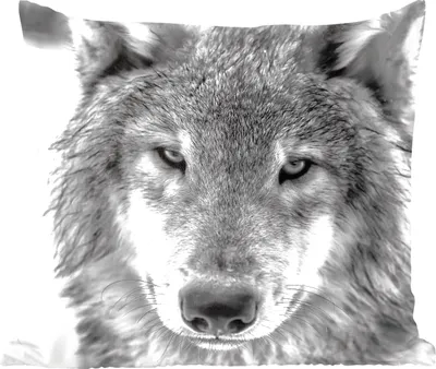 Produktbild von MuchoWow® Zierkissen Sofakissen Wohnzimmer Dekokissen 60x60 cm Tierprofil Wolf in schwarz und weiß - Sitzfläche - Foto Polster