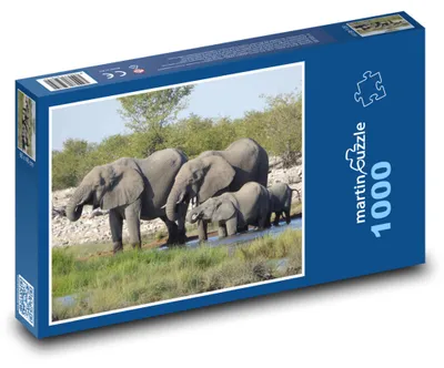 Zdjęcie produktu dla martinpuzzle - Puzzle 1000 - Stado słoni