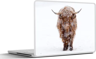 Produktbild von MuchoWow® Laptop Aufkleber Sticker Cover Schottisches Hochlandrind - Kuh - Schnee 30x21 cm - Sticker für Laptop - Selbstklebend