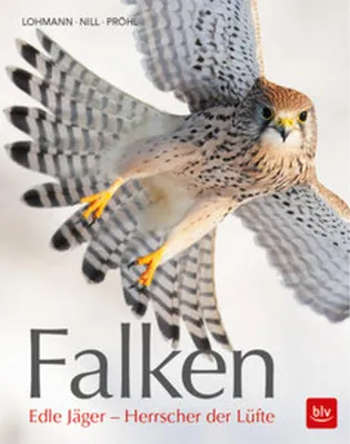 Produktbild von Falken