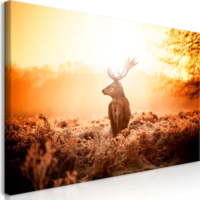 Produktbild von Wandbild Mega XXXL Hirsch 250x125 cm Einteiliger XXL-Format Kunstdruck zur Selbstmontage Leinwandbilder moderne Bilder DIY Wanddekoration Wohnung Deko Natur Tier Landschaft g-B-0045-ak-f