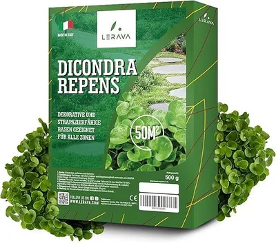 Immagine prodotto di LERAVA® Trifoglio da seme di dichondra [Non è necessario lo sfalcio] - 50m²- Estrema resistenza alla siccità - Ideale per aree ombreggiate e soleggiate