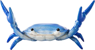 Produktbild von Animal Design Einzelstifthalter Hochstabiler Kunststoff-Gewichtheber-Krabben-Stifthalter für das Büro-Blau