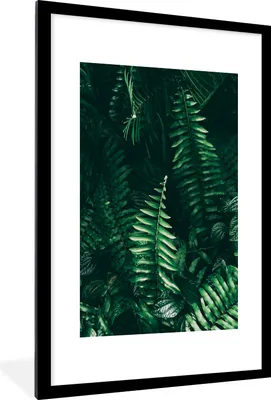 Produktbild von MuchoWow® Gerahmtes Poster Blätter - Dschungel - Natur - Tropisch - Pflanzen 60x90 cm - Poster mit Schwarzem Bilderrahmen Wandposter Rahmen Foto Bilder - Dekoration - Wandposter Wohnzimmer - Hochwertig