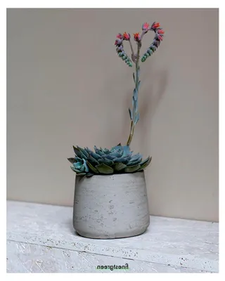 Produktbild von Patt Pflanzgefäß Grau L | Blumentopf für Innen- und Außenbereich, frostbeständig, UV-beständig, wasserdicht | Blumenkübel in Betonoptik