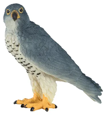 Produktbild von Mojo Wildlife Wanderfalke Spielfigur - realistisches Vogelspielzeug